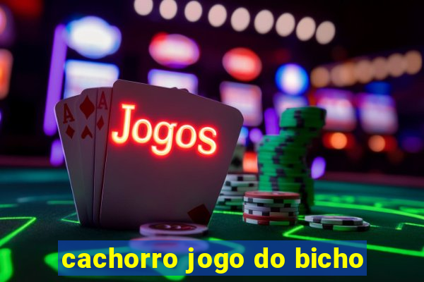 cachorro jogo do bicho